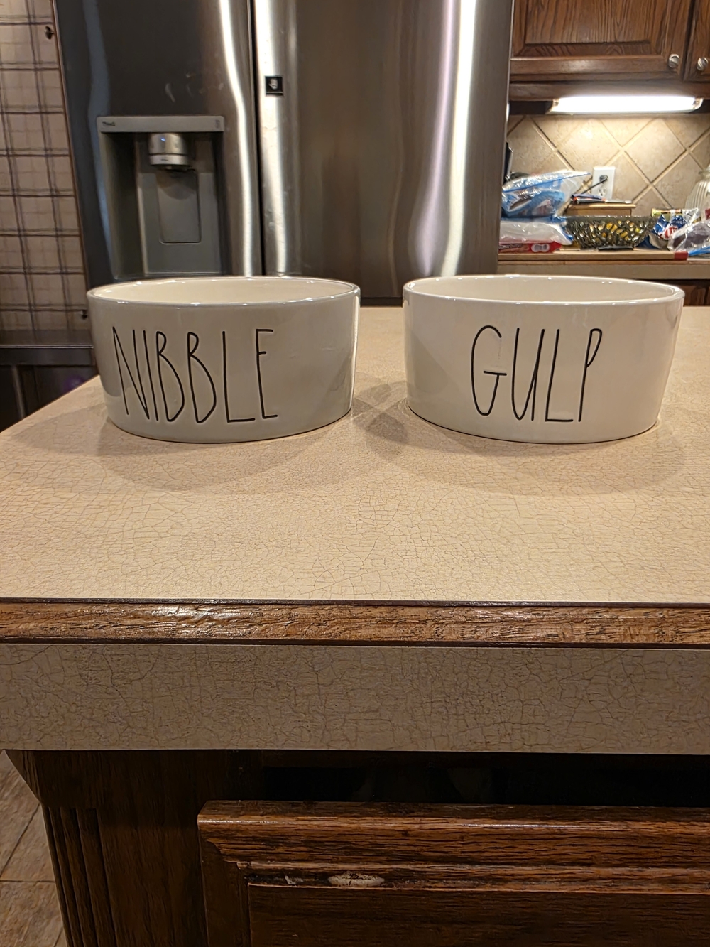 Rae Dunn "Nibble" and "Gulp" ceramic pet bowls